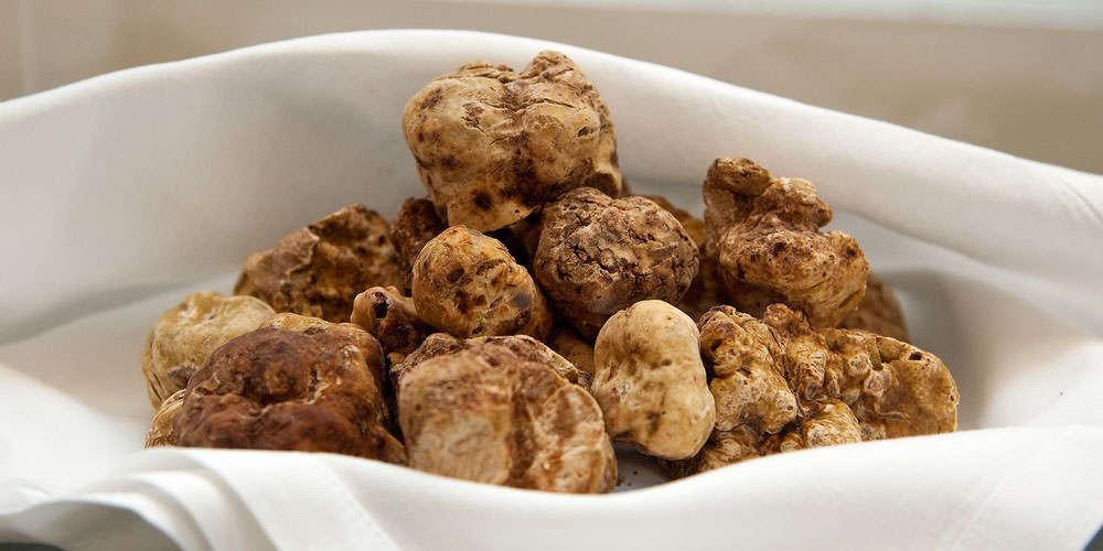 A 645-gram White Truffle Has Been Crowned “Royal Truffle 2016”