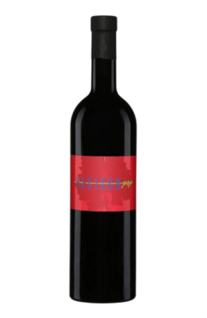 RADIKON Rosso POP