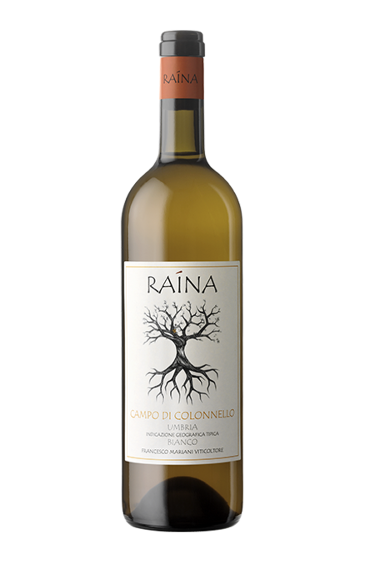 RAINA Umbria Bianco Campo di Colonnello 2024