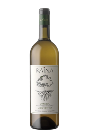 RAINA Umbria Grechetto 2024